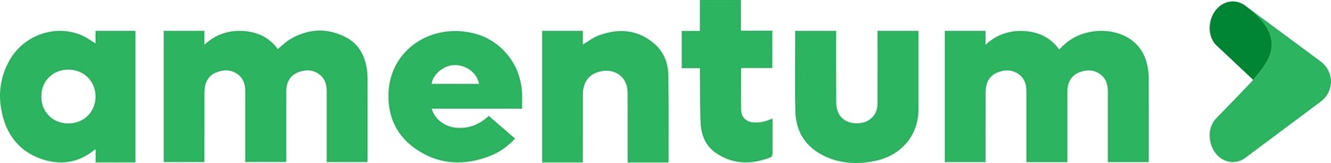 Amentum RGB Logo Green Amentum RGB Logo Green